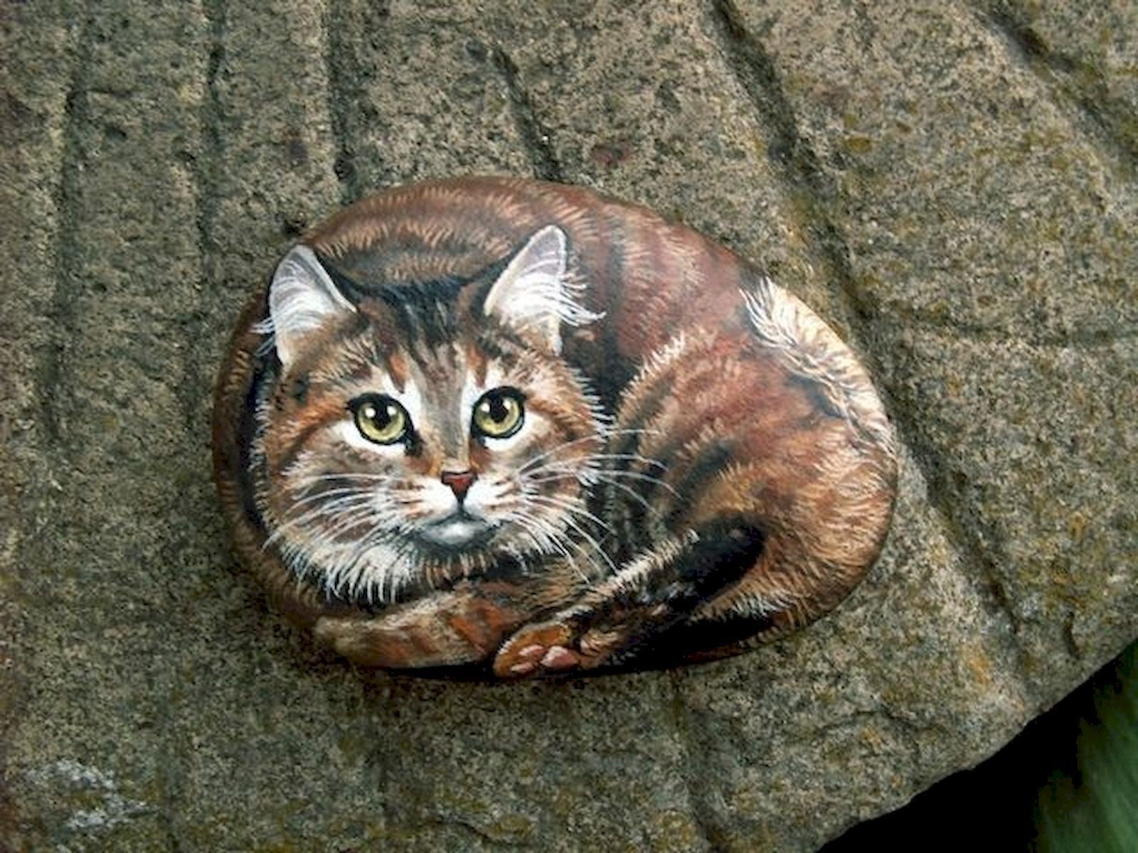 Котенок на Камне